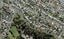 103A Western Springs Road, Morningside, Auckland - Carousel 1