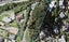 192 Browns Bay Road, Murrays Bay, Auckland - Carousel 1