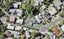 11 Granada Place, Glendowie, Auckland - Carousel 1