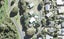 3 Twilight Bay, Warkworth - Carousel 1