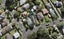 2A Warren Avenue, Three Kings, Auckland - Carousel 1