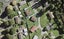 4 Game Place, Red Hill, Papakura - Carousel 1