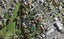 3E Jana Place, Mount Roskill, Auckland - Carousel 1