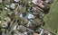8B Calvert Avenue, Mangere East, Auckland - Carousel 1