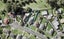 7 Leaside Lane, Glen Innes, Auckland - Carousel 1
