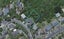 4 Narbada Crescent, Khandallah, Wellington - Carousel 1