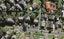 15 Kaka Street, Northcote, Auckland - Carousel 1