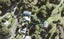 208 Wade River Road, Wade Heads, Whangaparaoa - Carousel 1