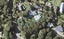 26 Rewa Road, Maraetai, Auckland - Carousel 1