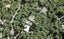 252 Shaw Road, Titirangi, Auckland - Carousel 1