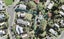 15 Valerie Crescent, Albany - Carousel 1