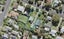 64 Miro Street, New Lynn, Auckland - Carousel 1