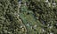 10 Tanekaha road, Titirangi, Waitakere - Carousel 1