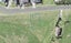 118 Maraetai School Road, Maraetai, Auckland - Carousel 1