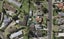 45A Boakes Road, Mount Wellington, Auckland - Carousel 1