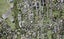 7B Takitimu Street, Orakei, Auckland - Carousel 1