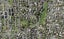 72C Rukutai Street, Orakei, Auckland - Carousel 1