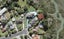 5A Bedford Street, Te Atatu South, Auckland - Carousel 1