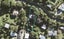 181 Wade River Road, Wade Heads, Whangaparaoa - Carousel 1
