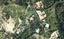 20 Korepo Road, Ruby Bay, Mapua - Carousel 1