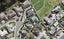 13 Lomas Way, Albany, Auckland - Carousel 1