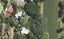 0 Tukura Road, Inner Kaiti, Gisborne - Carousel 1
