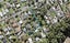 1/130 Cliff View Drive, Green Bay, Auckland - Carousel 1