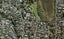 2 Wharua Road, Remuera, Auckland - Carousel 1