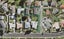 1/32A Helena Street, Massey, Auckland - Carousel 1