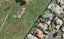 52 Waituarua Drive, Takanini, Auckland - Carousel 1