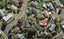 2 Wanita Place, Totara Vale, Auckland - Carousel 1