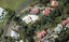 20A Ewing Road, Riverside, Whangarei - Carousel 1