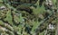 4 Godley Lane, Lucas Heights, Auckland - Carousel 1