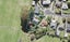 15A Cajero Place, Green Bay, Auckland - Carousel 1