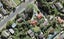 2/42 Hutchinson Avenue, New Lynn, Auckland - Carousel 1