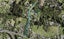336B Redoubt Road, Totara Park, Auckland - Carousel 1