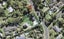66B Rame Road, Greenhithe, Auckland - Carousel 1