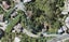 199 Browns Bay Road, Browns Bay, Auckland - Carousel 1