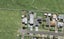17 Kiekie Road, Mangere Bridge, Auckland - Carousel 1