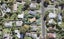 81 Vandeleur Avenue, Birkdale, Auckland - Carousel 1