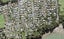 15D Cleve Road, Green Bay, Auckland - Carousel 1