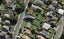 29 Leys Crescent, Remuera, Auckland - Carousel 1