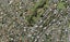 41 Grenada Avenue, Forrest Hill, Auckland - Carousel 1