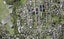 13B Takitimu Street, Orakei, Auckland - Carousel 1