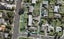 410/219 Lake Road, Northcote, Auckland - Carousel 1