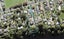 42 Cliff View Drive, Green Bay, Auckland - Carousel 1