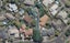 58A Harrowfield Drive, Harrowfield, Hamilton - Carousel 1