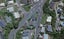 32 Liardet Street, Vogeltown, Wellington - Carousel 1