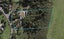 3/166 Ostend Road, Ostend, Waiheke Island - Carousel 1