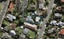 102 Portland Road, Remuera, Auckland - Carousel 1